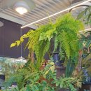 동백커피 이미지