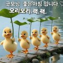 간추린 뉴스 이미지