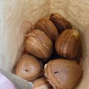 알콩스토어