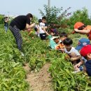 동심예능유치원 이미지