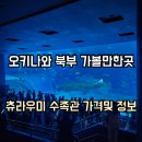 2024-0205-0142 | 오키나와 여행 북부 투어 추천 츄라우미 수족관 1편 (沖縄美ら海水族館) 위치 입장료 예매 및 가는 방법...