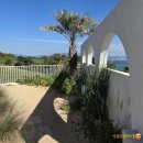 하유자적 이미지