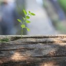 만물천하 이미지