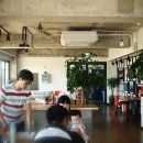 오션트리 이미지