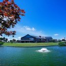 가야코리아 스크린골프 이미지