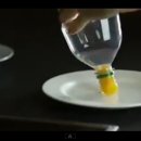 노른자 PC 이미지