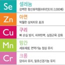 피엠사랑 네이버블로그