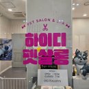 바로펫살롱 이미지