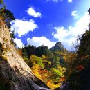 다보이는세상 이미지