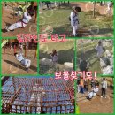 신주례태권도스쿨3