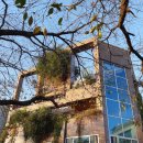 씨유울산태화강점 이미지