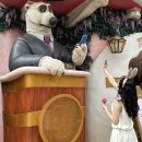 이도랜드 | 상하이(상해) 디즈니랜드 평일 후기 (입장권,식당,놀이기구) 주디머리띠, 휴대폰 분실