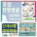 효성한방병원(월드프라자내 위치) | 시흥대야동산재병원 몸 회복을 위해선 초기 치료가 중요합니다