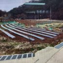 라온사랑부동산공인중개사사무소 Daum카페