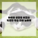 미래엔케어 | 우리 아이 수학 자신감 쑥쑥! 용인 서천동 수학학원 꼼꼼 리뷰 feat. 미래엔수학 서농초교실