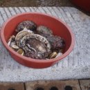 연도민박 이미지