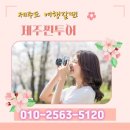 용마카서비스 | [ෆW.09] 제주 웨딩스냅 차량대절 추천 제주찐투어 후기 + 여성기사님 선택 가능!