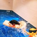 경포345풀빌라(경포삼사오풀빌라) | #강릉경포 345풀빌라