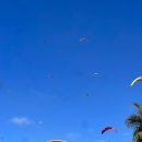 친절한푸른약국 | 튀르키예 신혼여행 3~4일차 : 페티예 욜루데니즈 극내향인의 광란의 해적선 투어 후기(드래곤투어)