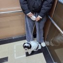 화성우체국 | [버거킹 화성시청점] 맛있는 햄버거 포장 후기!