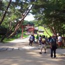 동구릉로 이미지