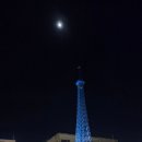 탑마을 | 파주 프로방스마을 야경 명소 에펠탑 포토존 감성 산책 후기