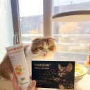 팡드미 메타볼릭 &amp; 소디움 벤토나이트 고양이 두 마리 다른 고민, 한 번에 해결한 루틴 리뷰⭐️