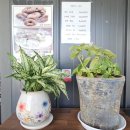 청이랑콩이랑 이미지