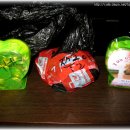 대전종합동물병원 이미지