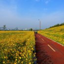 금강변길 이미지