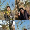 추임새 이미지