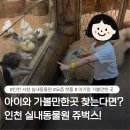 공작어린이집 | 인천 아이와 가볼 만한 곳 추천! 요즘 핫플 실내 동물원 쥬벅스에서 동물 먹이주기 체험, 비 오는 날...