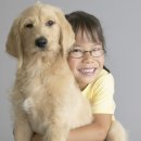 알콩달콩 애견샵 이미지