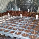 미니목장 이미지