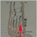 ＜ 스트레스 해소시키는 대돈혈 ＞ 이미지