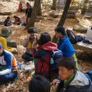 금포초등 이미지