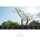 용수산 - 미추홀구 매소홀로 161 | 서울 용수산 비원점 소규모 돌잔치 창덕궁 돌스냅 후기 | 서울돌스냅 (5월 초, 점심타임)