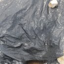 대비농장2 이미지