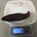 다이어트 일기 10~11주차 -11.1kg, 슬로우 다이어터, 결국 꾸준함이 답