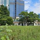 어반스케치+여행수채화(초급) 이미지