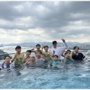 용인대태권도스포츠클럽 이미지