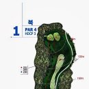 떼제베CC(대중제) 이미지