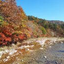 오대산 금빛펜션 이미지