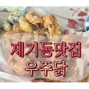 우주닭 이미지