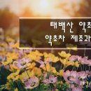태백산건강원 - 영월군 중앙1로 36 | 태백산건강원