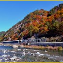 가을여행 이미지