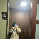 화천미니사과