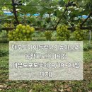 아우라 농장 이미지