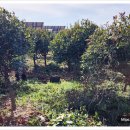 홍태양광발전소 이미지