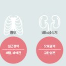 배가 아파요 배아플때 원인 이미지